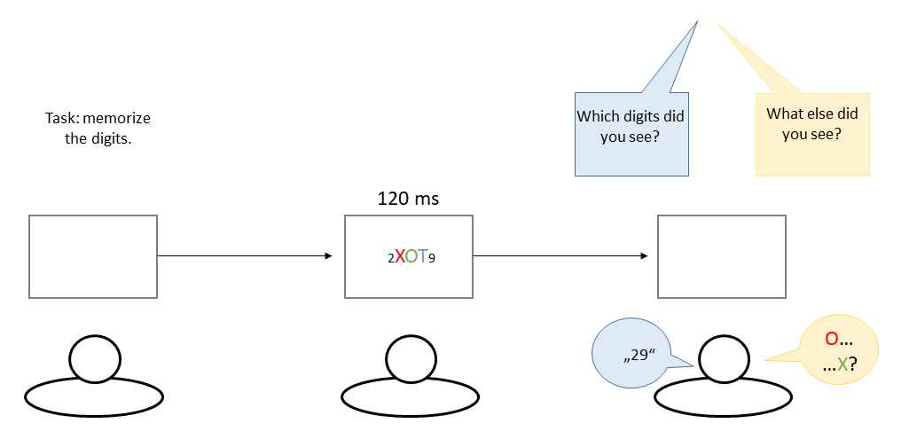 Experimental setup of Treisman and Schmidt (1982). Participants had to report the flanking digits, which drew their attention away from the letters. The stimulus array (consisting of digits and letters) was only briefly presented. Subsequently, participants had to report which digits and letters they saw. Participants often report illusory conjunctions between the color- and form-features of unattended letters.