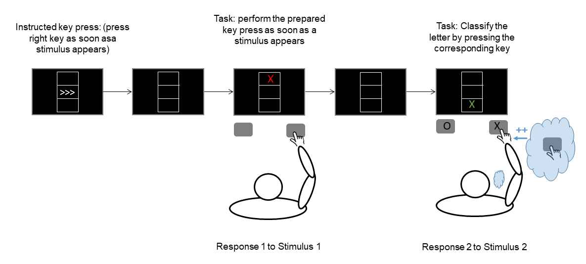 Stimulus-response bindings emerge when a response (here: response 1) is executed to a given stimulus (stimulus 1). If a feature of stimulus 1 repeats later on (stimulus 2), this will retrieve the stimulus-response binding, which reactivates the formerly executed response. If the retrieved response matches the requirements of the current situation (i.e., response 2 = response 1), the second response is typically executed faster (represented by “++” in the picture).