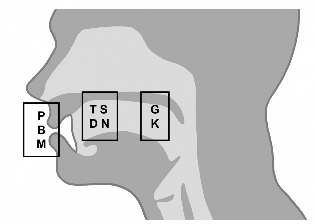 Consonants are articulated at different places in the mouth - for example, at the lips, with the tongue on the front palate, or at the back of the throat.