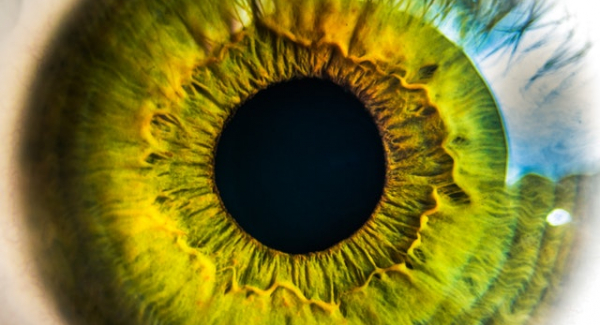 Eye - image from pexels.com CC0