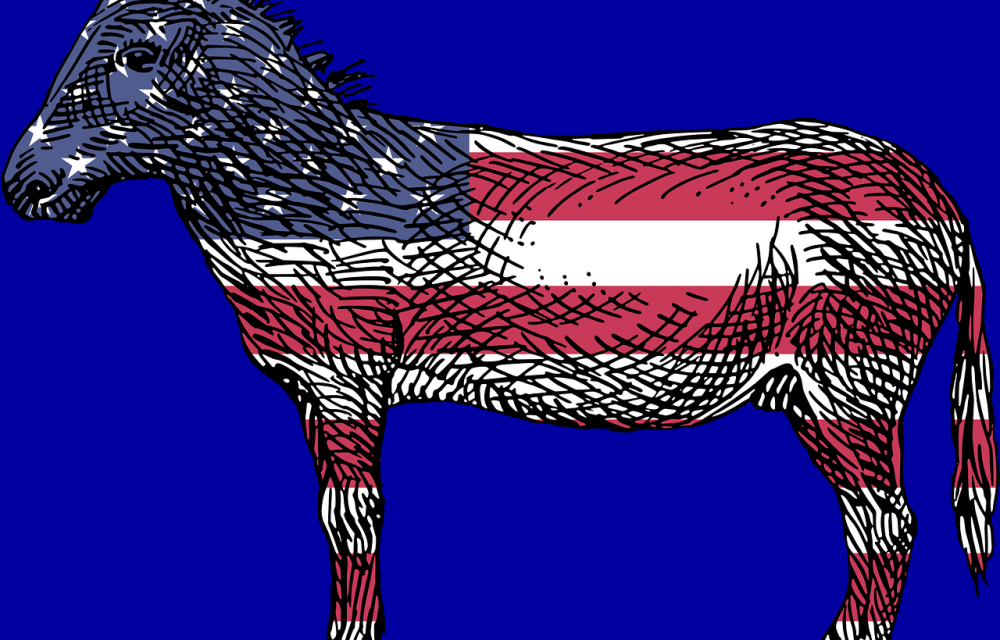 Democratic Donkey