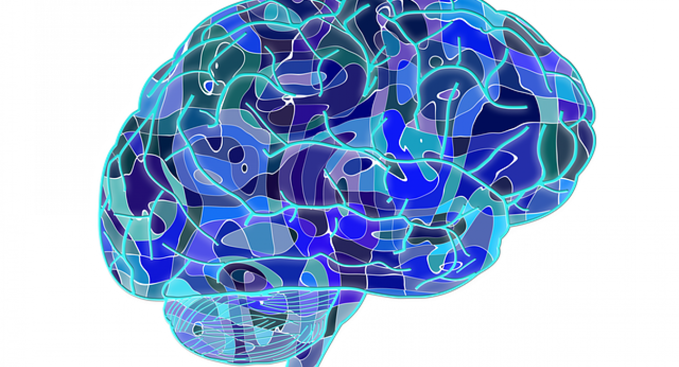 Brain - image from pixabay.com CC0