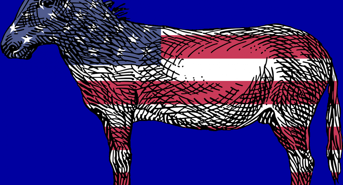 Democratic Donkey