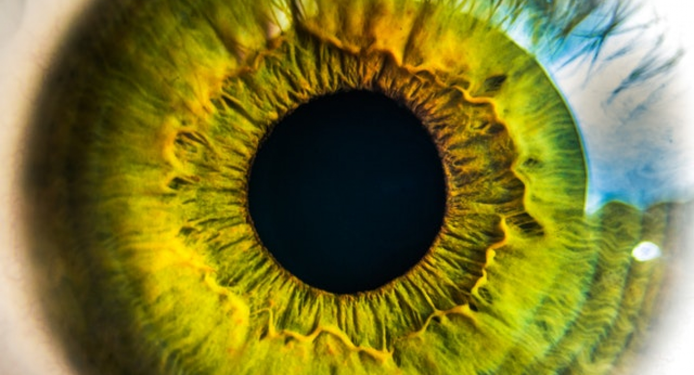 Eye - image from pexels.com CC0